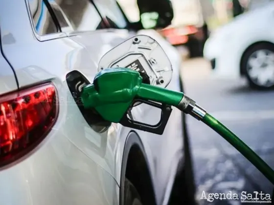 Cuánto tiempo duran la nafta y el gasoil en el tanque del auto