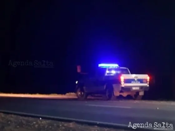 Motociclista salteño murió tras impactar con un chancho