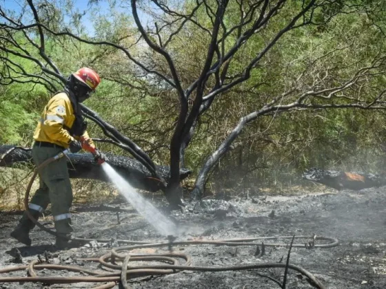 Finalizaron las acciones e intervenciones en la zona de incendio