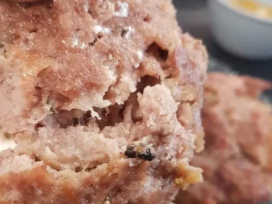 Obreros de Posco Lithium se niegan a almorzar por falta de condiciones óptimas en la comida