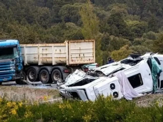 Tragedia: murieron seis turistas tras chocar su combi contra un camión en la ruta de los Siete Lagos