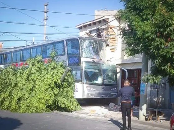 Colectivo se subió a la vereda, derribó un árbol y se incrustó en una casa