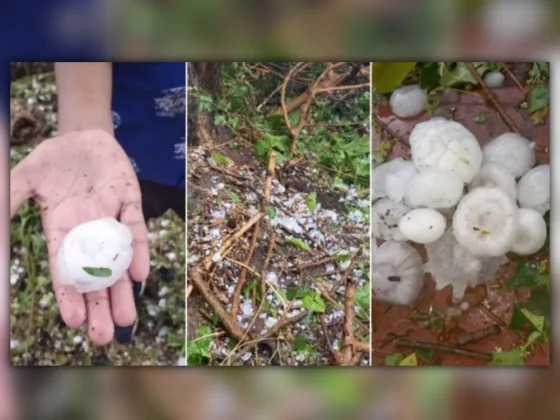 El granizo causó estragos en la Perla Tabacalera