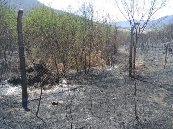 Bomberos y Brigadistas realizan tareas de enfriamiento tras un incendio próximo al cerro Ala Delta