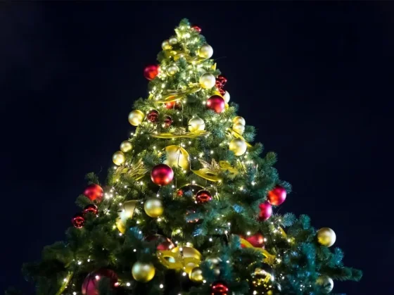 Te contamos cuanto sale armar el arbolito para estas fiestas