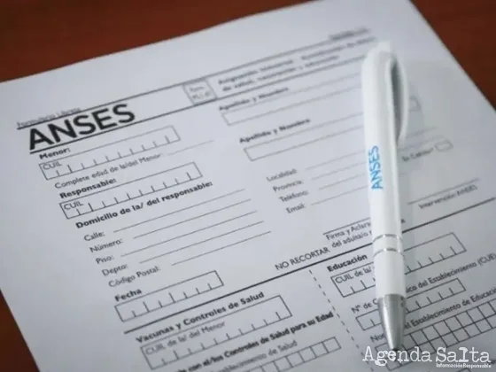 Qué es el formulario 1.47 que debe presentar AUH a Anses antes de fin de año