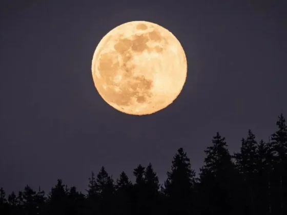 Luna llena de noviembre: los tres signos que cambiarán su vida a partir del 27