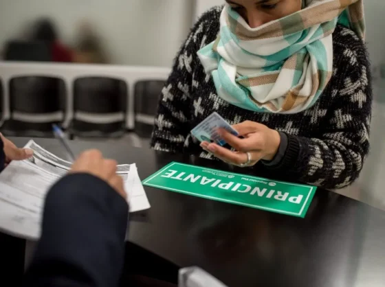 Movilidad Ciudadana: en 4 años de gestión se atendieron más de 40.000 trámites de licencias