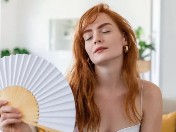 El ventilador de última tecnología que reemplaza al aire acondicionado