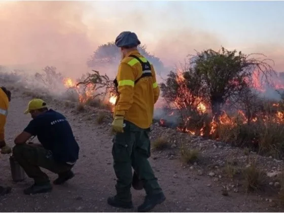 La Pampa es la única provincia con un foco de incendio forestal activo en el país