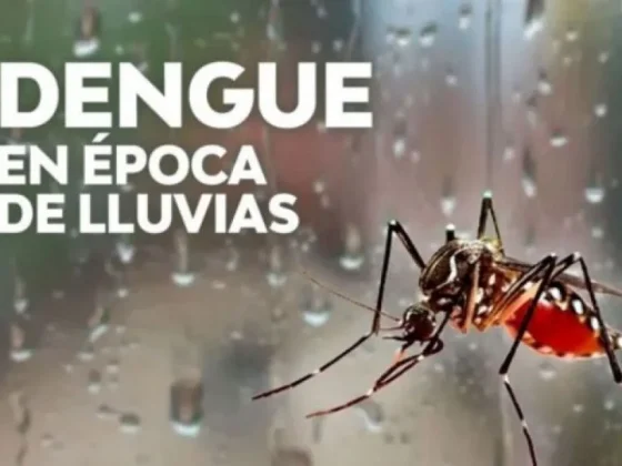 Pautas para prevenir el dengue, zika y chikungunya durante el período de lluvias
