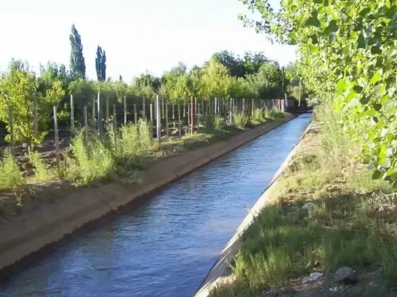 Salteña fue hallada muerta en un canal en Mendoza y se investiga si se trató de un femicidio