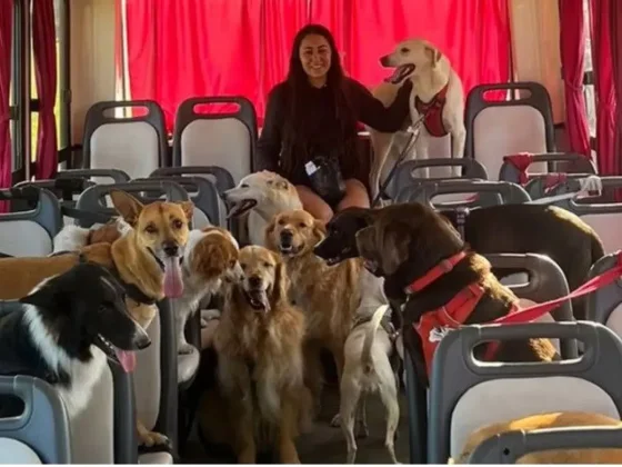 “Chau perrihijos, que se diviertan”: los detalles del campamento canino que es furor en Saavedra