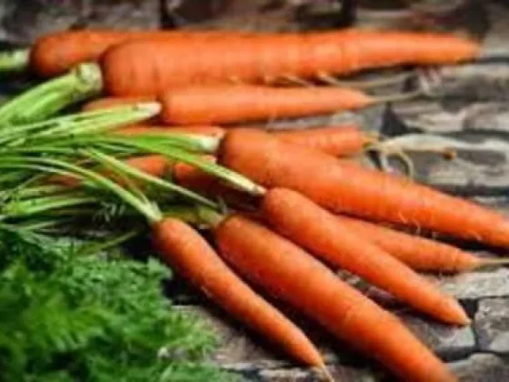 El truco para guardar las zanahorias y que duren hasta un mes que se volvió viral