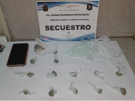 SALTA NARCO: La policía secuestró más de 13.000 dosis de drogas en el sur de la provincia