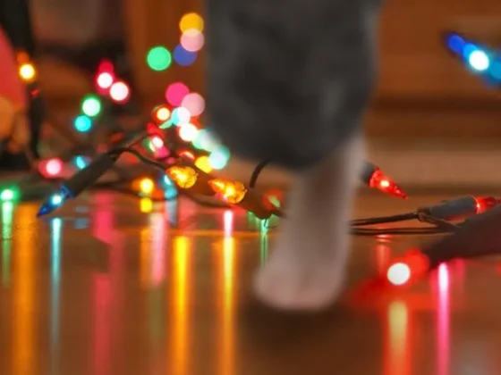Changuito de 4 años se electrocutó con las luces navideñas
