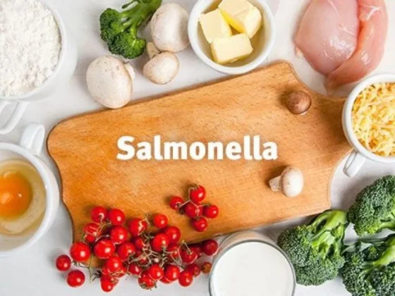 SALMONELLA: Se registran alrededor de 400 consultas en el Materno Infaltil