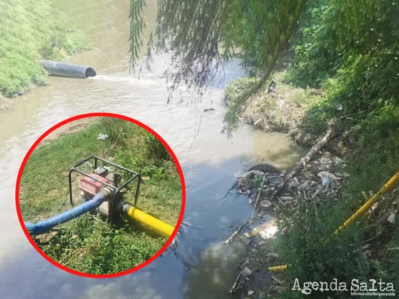 Plantación de verduras es regada con agua contaminada del río arenales