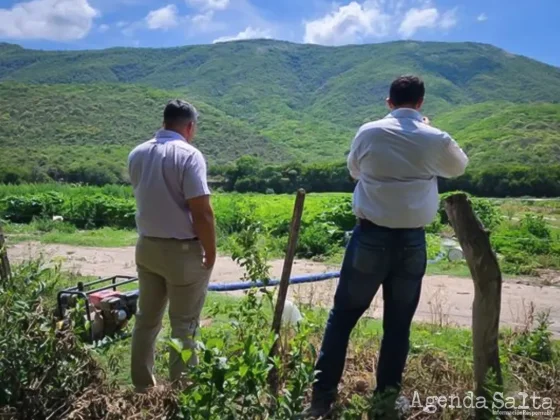 Prohibieron el riego de verduras y hortalizas con aguas contaminadas del río Arenales