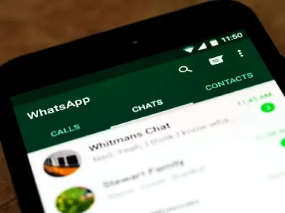 WhatsApp: cómo saber si no te tienen agregado como contacto