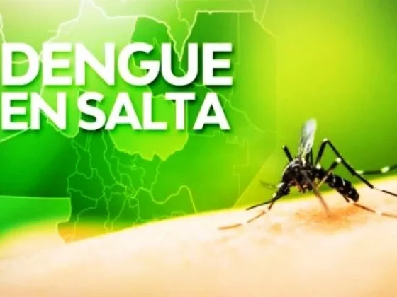 Advertencia nacional sobre mayor riesgo de propagación del dengue