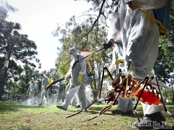 Alerta en todo el país por el aumento de Dengue