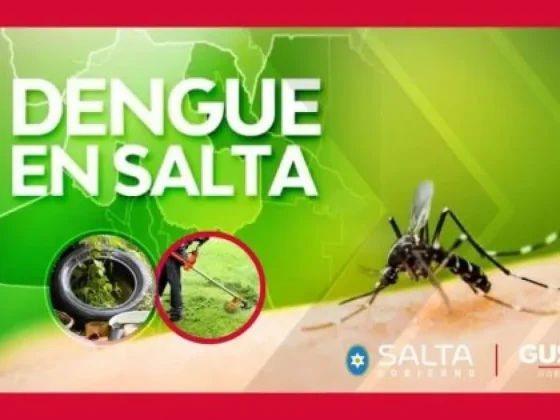 Advertencia nacional sobre mayor riesgo de propagación del dengue