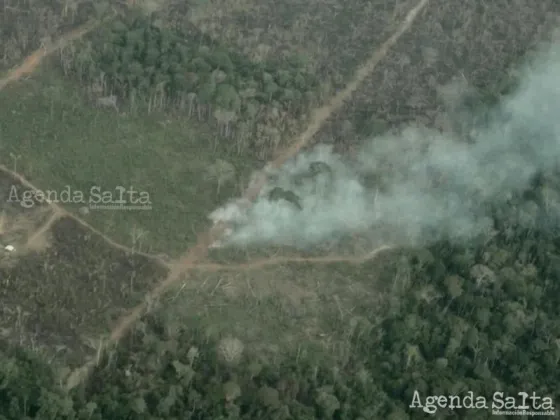 Grandes extensiones de bosque tropical fueron quemadas o taladas en 2021 y sustituidas por cultivos o ganado, especialmente en Brasil, y el cambio climático dificulta la conservación de la cubierta forestal, advirtieron el jueves investigadores.