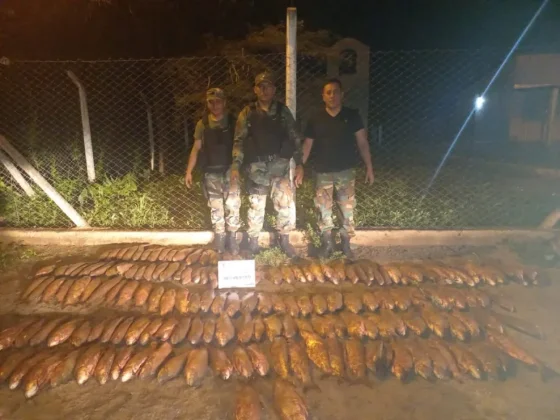 Infraccionaron a dos pescadores que transportaban 200 sábalos