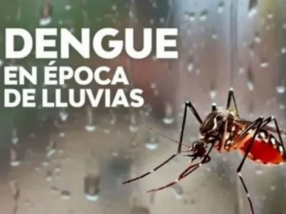 Salud insta a reforzar los cuidados para la prevención del dengue