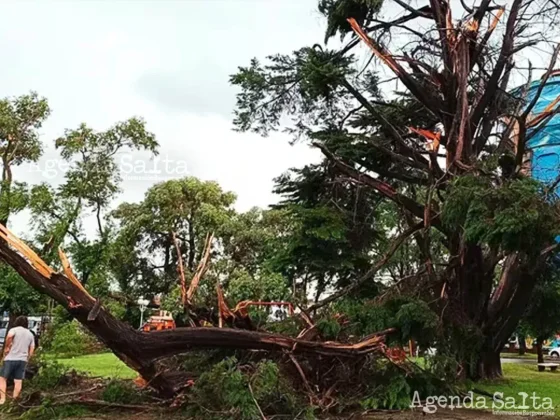 Una de las imágenes de los destrozos provocados por el temporal