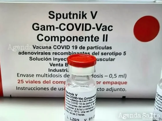La rusa Sputnik fue la primera versión que se inyectó en Argentina.