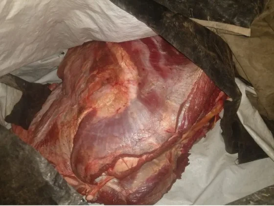 Secuestraron más de 100 kilos carne sin las medidas de higiene y salubridad