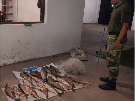 Infraccionaron a dos pescadores que transportaban sábalos y una red de pesca