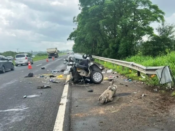 TRAGEDIA: una argentina de 22 años murió en Brasil tras impactar su auto contra el guardarraíl de una ruta