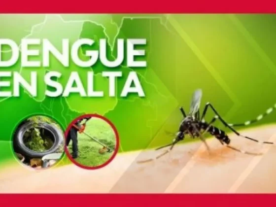 La mejor forma de prevenir el dengue es controlar la población del mosquito transmisor