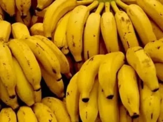 Por una disposición del Senasa, Salta se queda sin bananas