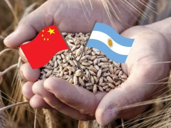 Argentina podrá exportar trigo a China por primera vez