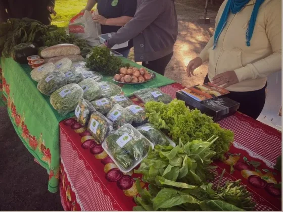 Habrá un Paseo de Compras de productos orgánicos y regionales
