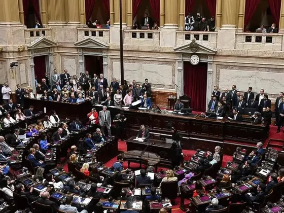 El Congreso debate la Ley ómnibus de Javier Milei