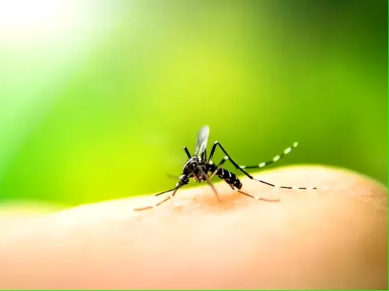 ALERTA: Un adolescente de 14 años murió por dengue