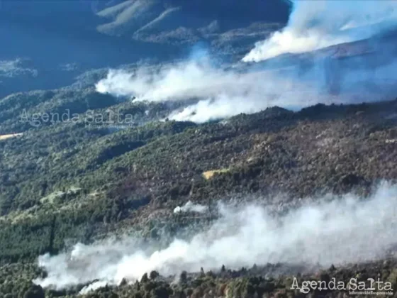 En las últimas horas se sumaron 50 brigadistas provenientes de la provincia de Córdoba para combatir las llamas en el Parque Nacional Los Alerces y la provincia de Chubut.