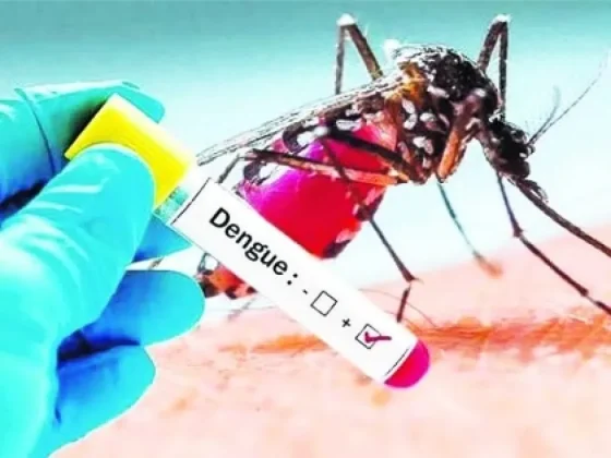 El compromiso de la sociedad es fundamental en la prevención del dengue