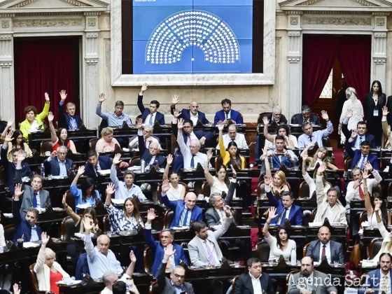El Gobierno nombró uno por uno a los diputados que votaron en contra de la Ley Ómnibus: ¿Quiénes son los salteños que figuran?
