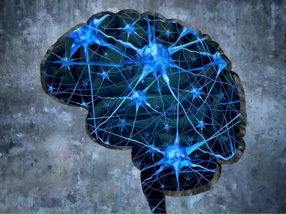 Según un estudio, el viagra podría reducir el riesgo de Alzheimer