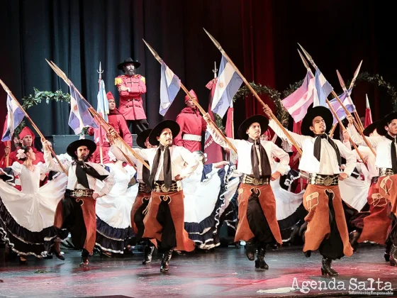 Disfrutá de las actividades del Ballet Folklórico de la Provincia con entrada libre y gratuita