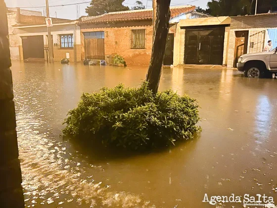 Imagen gentileza @Dr_Pochoclo Twitter