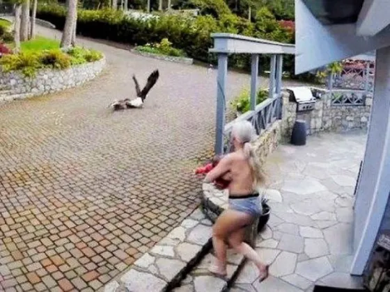 Una mujer casi desnuda rescató a un ganso de un águila mientras sostenía a su bebé en brazos