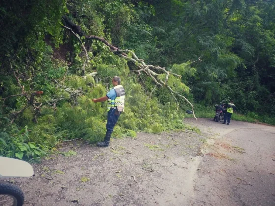 Continúa la asistencia en los barrios tras la tormenta