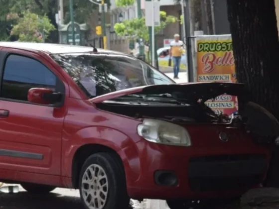 Automovilista se pegó una piña contra un árbol en pleno centro salteño